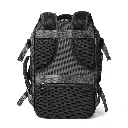 Fly_negro_14.webp